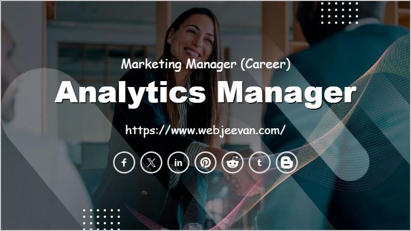 Analytics Manager