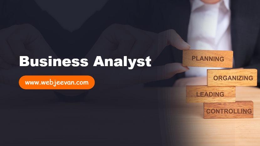 Business Analyst