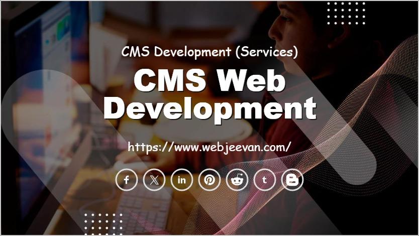 CMS Web Development Solution