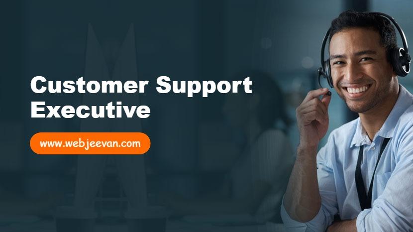 Customer Support Executive