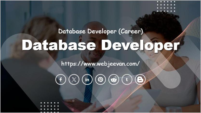 Database Developer
