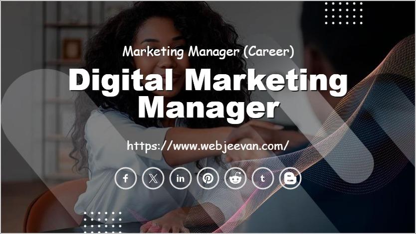 Digital Marketing Expert