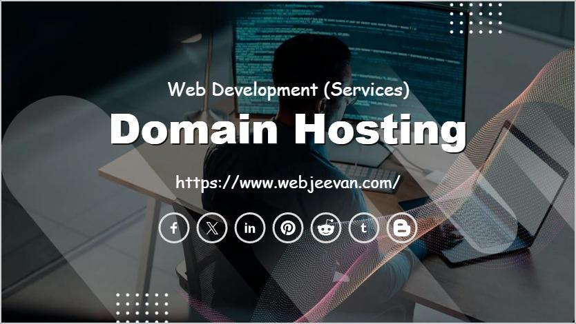 Domain Hosting