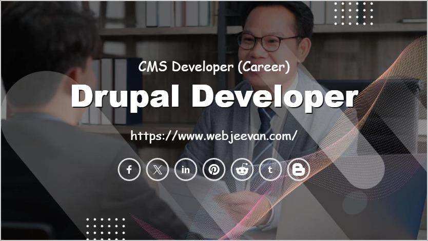 Drupal Developer