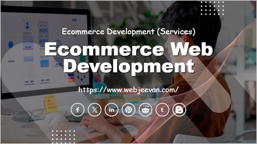 Ecommerce Web Development