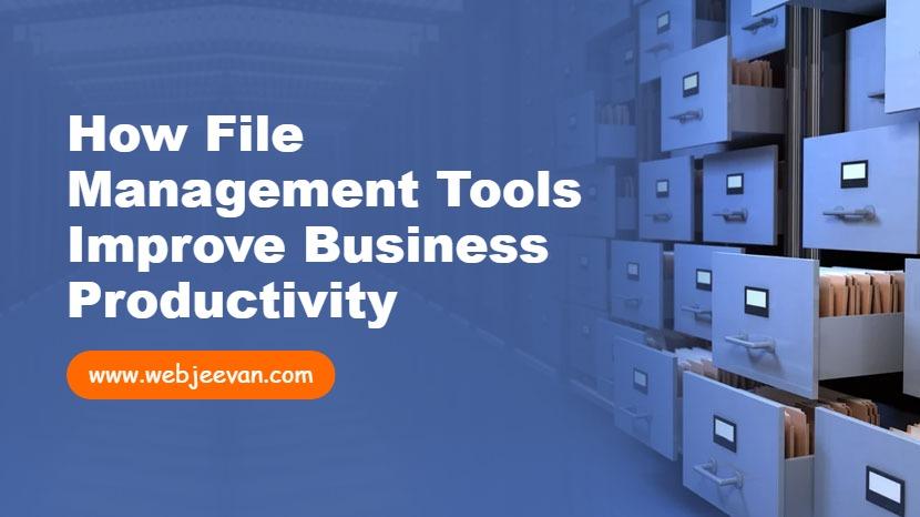 File Management