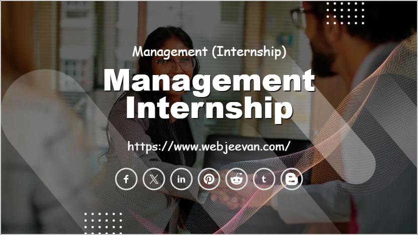 Management Internship