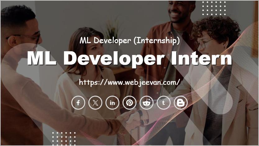 ML Developer Intern