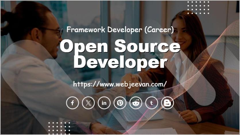 Open Source Developer