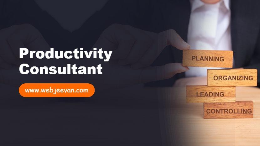 Productivity Consultant