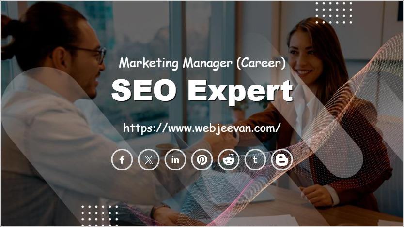 SEO Expert