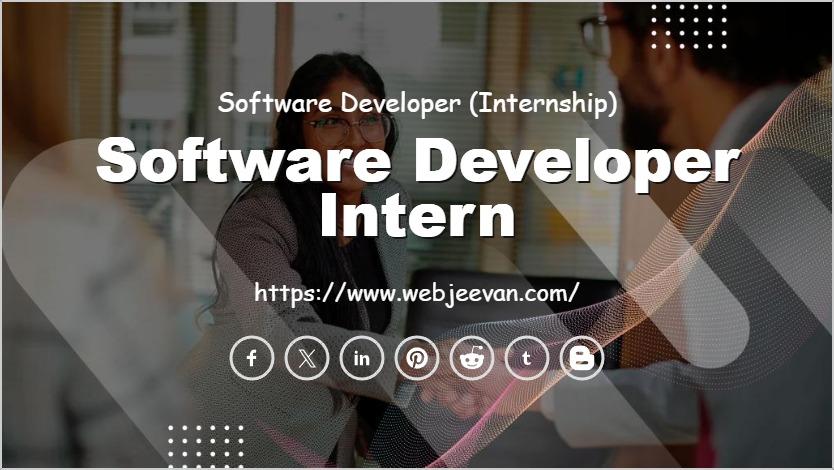 Software Developer Intern