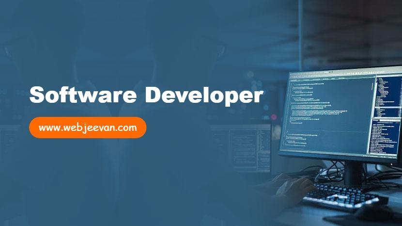Software Developer