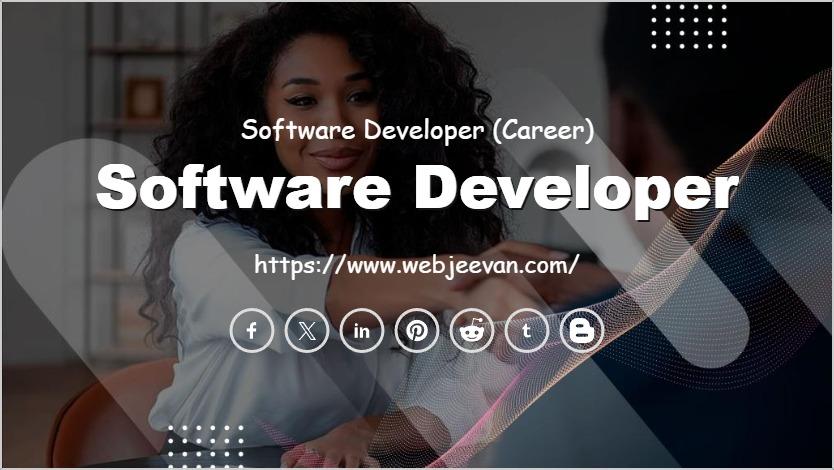 Software Developer