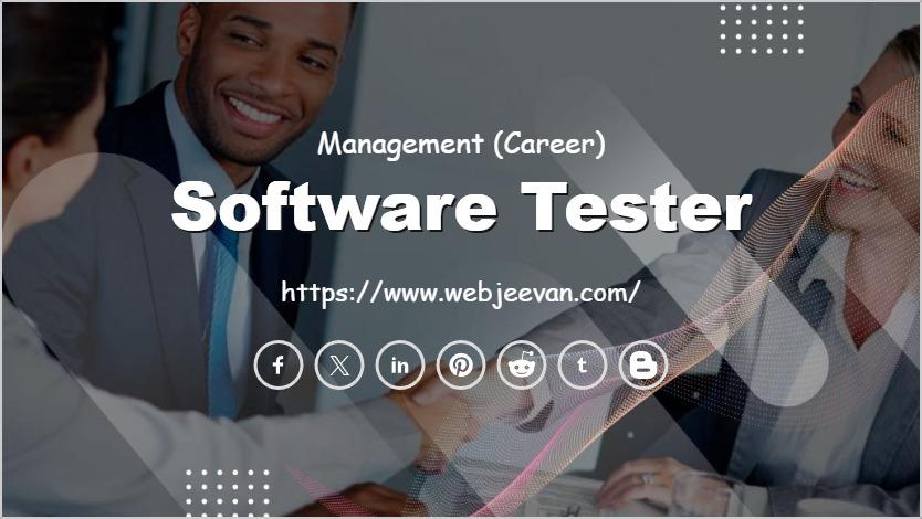Software Tester