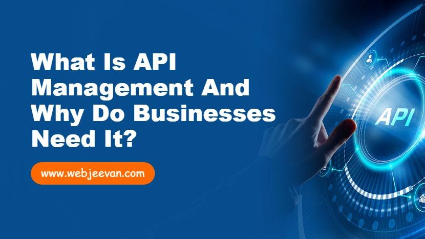 What is API Management and Why Do Businesses Need It?