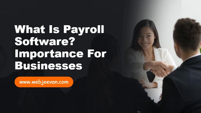What is Payroll Software? Importance for Businesses