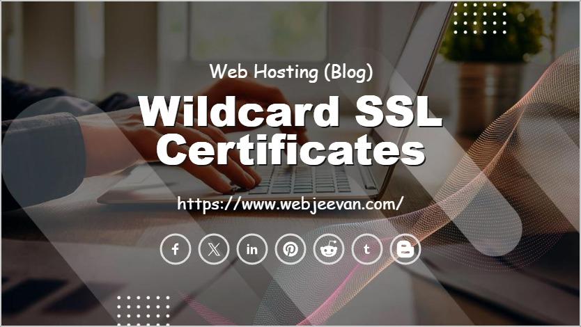 Wildcard SSL Certificates